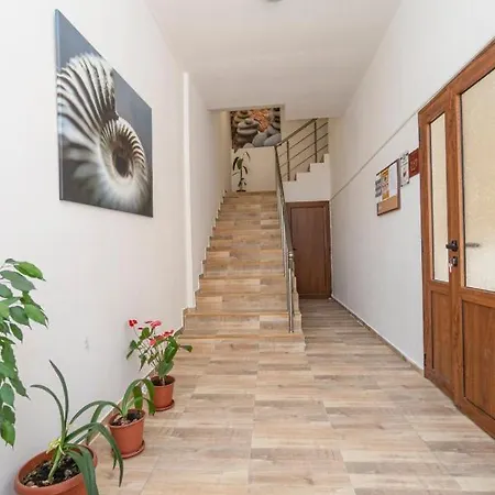 Elidis بريمورسكو