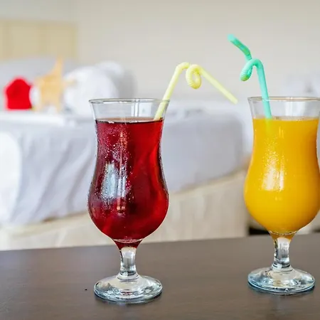 Elidis Guest house Primorsko